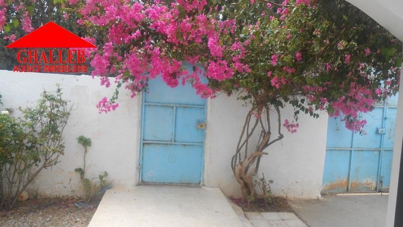 Maison plein pied avec jardin a jabnoun g