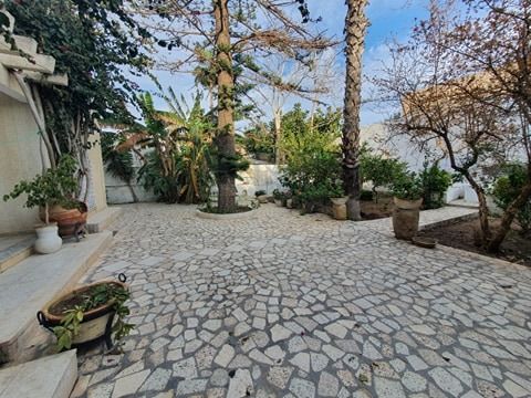 Villa prune réf:hammamet