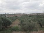 250 hectares à land aria