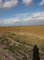 a solimen nabeul terrain agricole de 23 hectares l’eau et l’élec