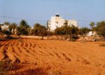A Vendre terrain a Djerba