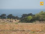 A vendre terrain agricole à Dar Allouch Kélibia