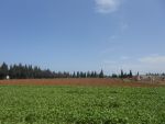 A VENDRE Terrain Agricole sis SAHLINE