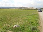 al 7 hectares à sidi jdidi hammamet