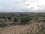 AV terrain agricole de 250 hectares à lenderia