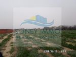 Deux lots de terrains a kassass el hajeb