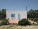 Ferme 18000m à sidi mtir avec studio et écurie