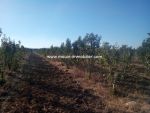 Ferme du poirier Référence