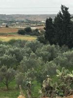 Ferme Ghardeya à Nabeul