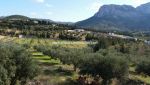 Ferme La colombe A Mornag