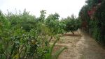 joli maison pour vacance