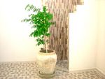 A louer a l'annee appartement neuf vue mer