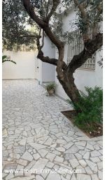 Appartement nahrawes nii al hammamet nord