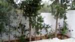 Appartement tarek 2réf:  bonne affaire
