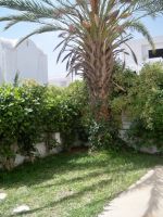 Appartement meriem a