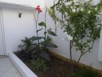 Al bel appartement non meublé à hammamet nord côté delia