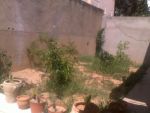 Appartement riu