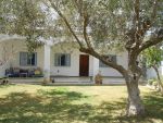 Al appartement rc meublé à nabeul