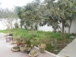 Al trés beau duplex avec une vaste jardin à hammamet