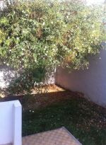 Location Duplex Ain Zaghouan 850 dt