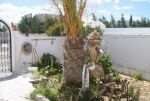 Rdc meublé derrière clinique de hammamet