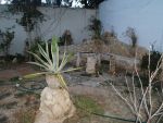 Al belle maison un rez de jardin à hammamet