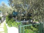 Appartement le chemin vert type s+2