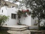Maison  mrezga (lm : 425)+