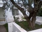 Dar brown hammamet avenue moncef bey