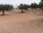Une belle villa a midoun a louer