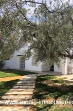 Villa narjes l à hammamet nord iii
