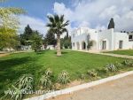 Villa romeo al à hammamet