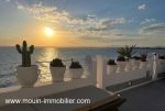 Dar baya l hammamet centre la medina l