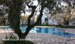 Villa dalia hammamet nord ii ll