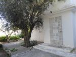 Al une magnifique villa à hammamet prés d'hotel miramar