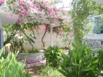 Al une belle villa à hammamet avec une superbe jardin