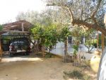 Maison entourée par la nature à hammamet