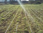partenariat pour un projet agricole
