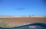 Terrain agricole a vendre a menzel temime