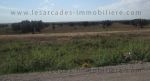 Terrain agricole de 38 hectares à10km de Enfidhasur deux parties