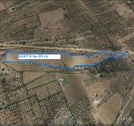 terrain agricole, oliveraie à vendre à EL KENEIS M'SAKEN SOUSSE