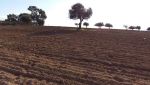 Terrain nu 680 dominant El Nahli bel emplacement