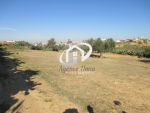 terrains zeramdine monastir