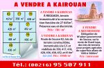 vente à Kairouan à Reggada terrain constructible de 27645 m2