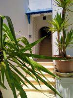 Duplex chams chams hammamet