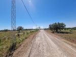 Ferme bin à vendre à sidi khelifa
