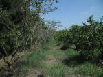 Superbe ferme saumon réf: grombalia