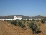Senya 4 hectare 4000m avec maison de campagne friguia