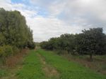 Av jolie ferme pas loin de nabeul
