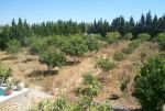 A vendre ferme de 1 hectar 670m dans la campagne hammamet